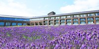 富良野◆おしゃれ心が満たされる！大人女子必見のホテル6選