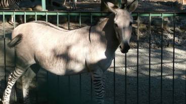 施設の敷地 / 10