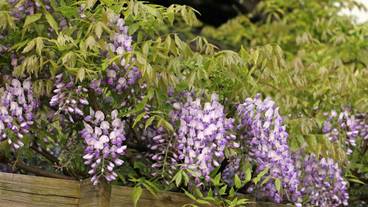 施設内の設備 / 4