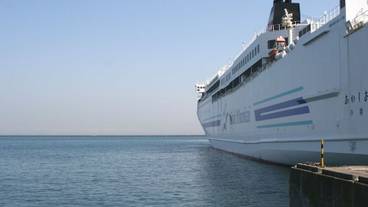 観光スポット / 7