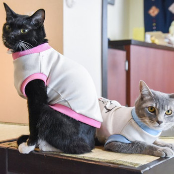 猫ちゃんと遊んで癒されよう3632046