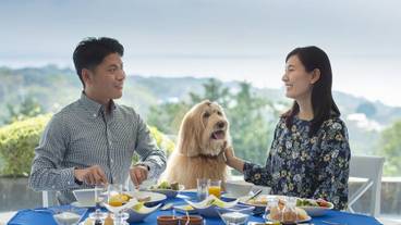 家族向けレストラン / 6