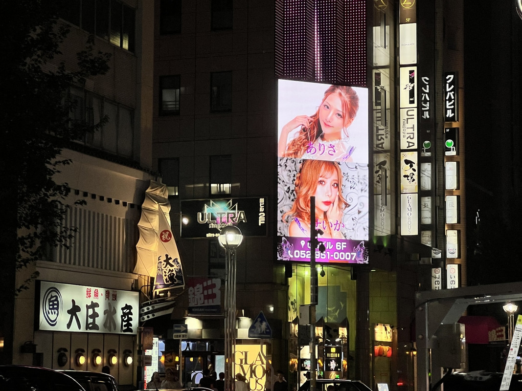 夜はこんな感じ