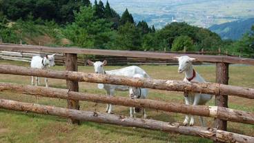 施設の敷地 / 19