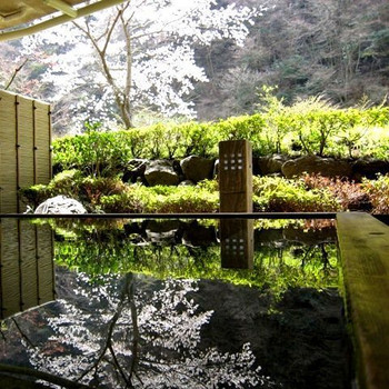 貸切だからゆっくりできる♡桜が見える露天風呂3443323