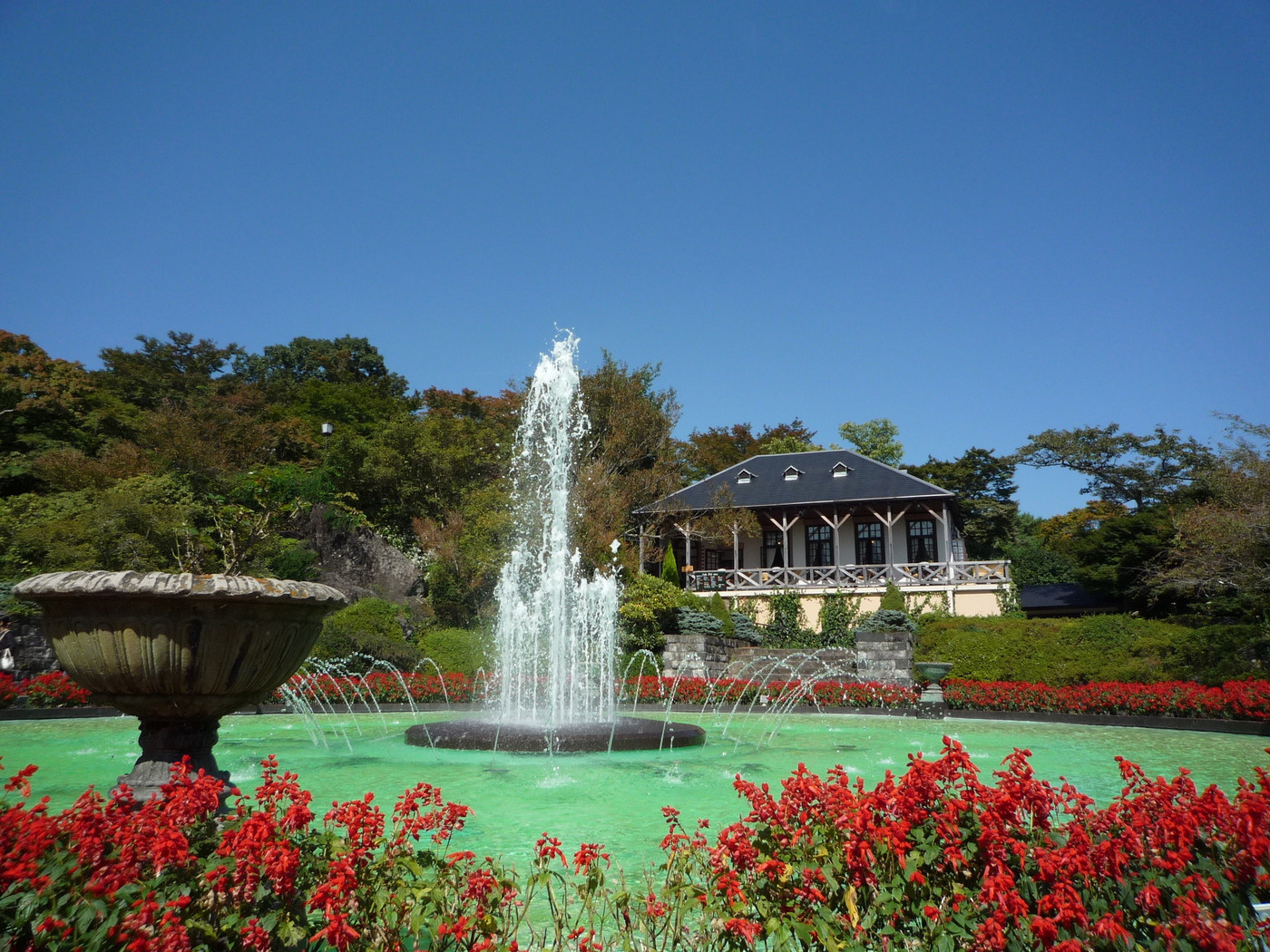 強羅公園の噴水とそれを囲むサルビア