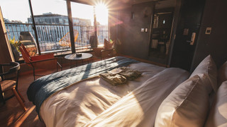 Superior King Terrace C (901)