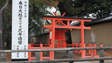 シティ ビュー / 22