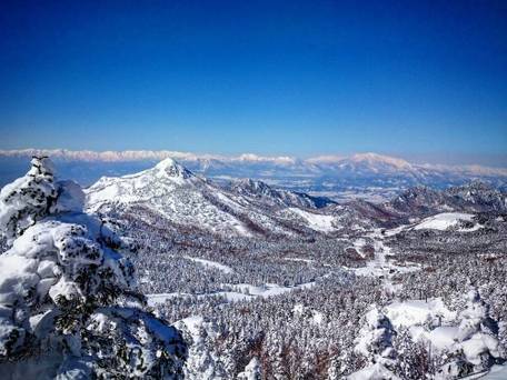 シルバー志賀 / 4