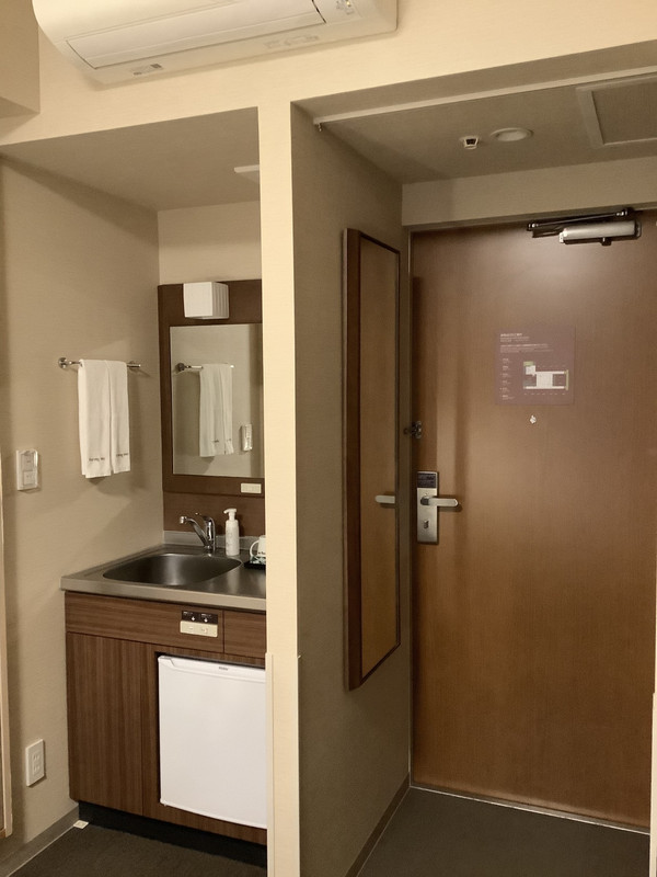 洗面所というよりはキッチンのシンク