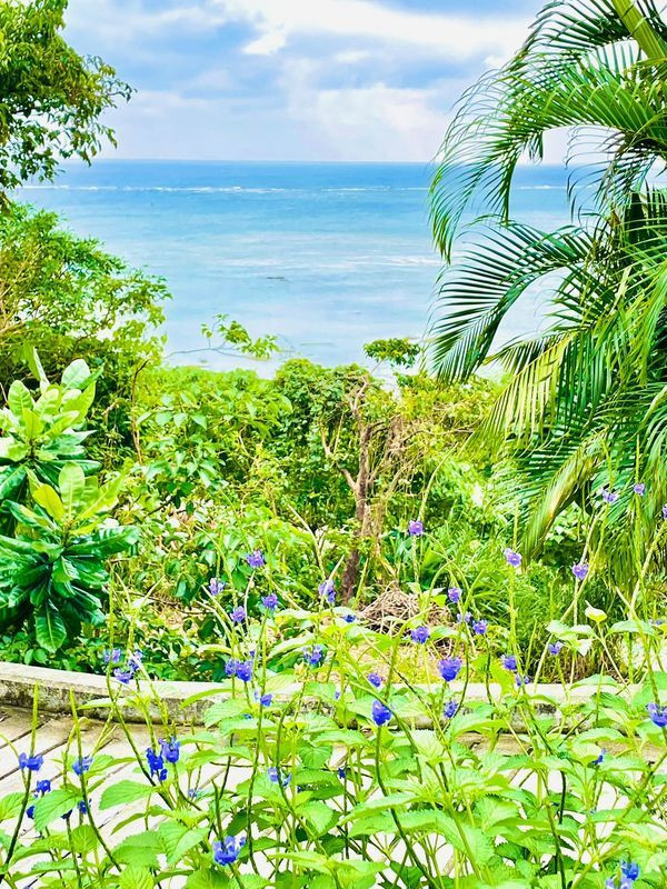 海と山の風景。どちらも楽しめる南城市の風景 / 5