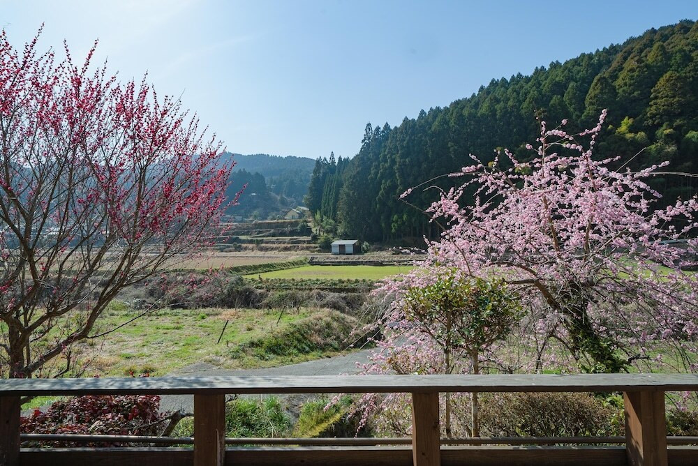 部屋からの景観