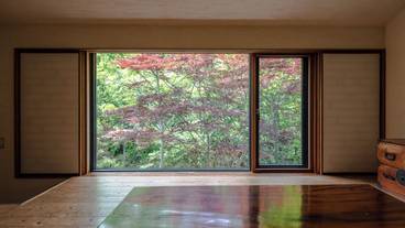 部屋からの景観 / 39