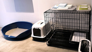 【禁煙】トリプルルーム（ペットと泊まれる京都嵐山）