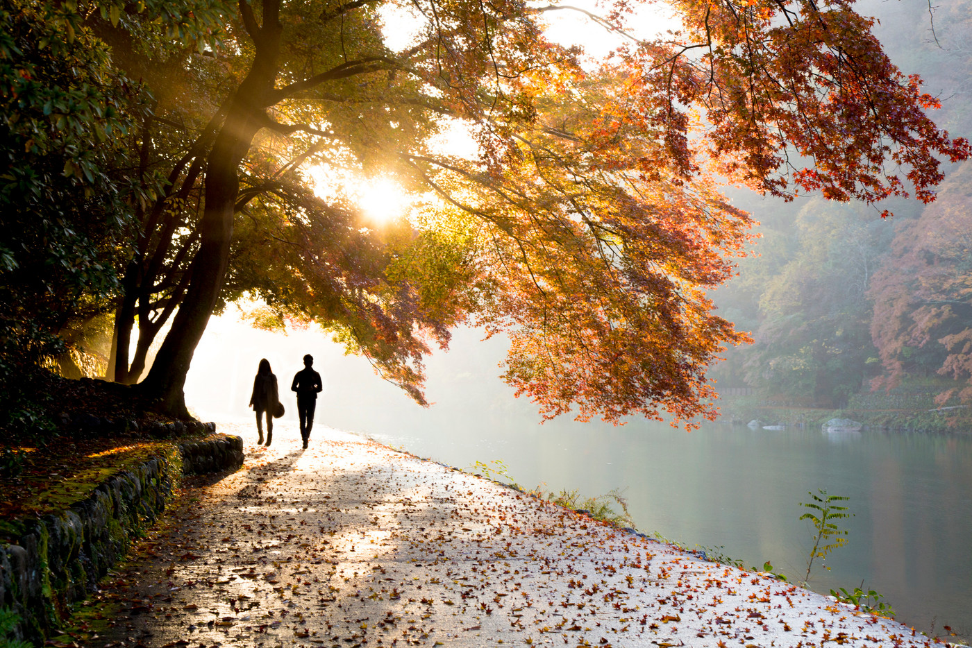 秋の京都嵐山を散歩する二人(大堰川エリア)