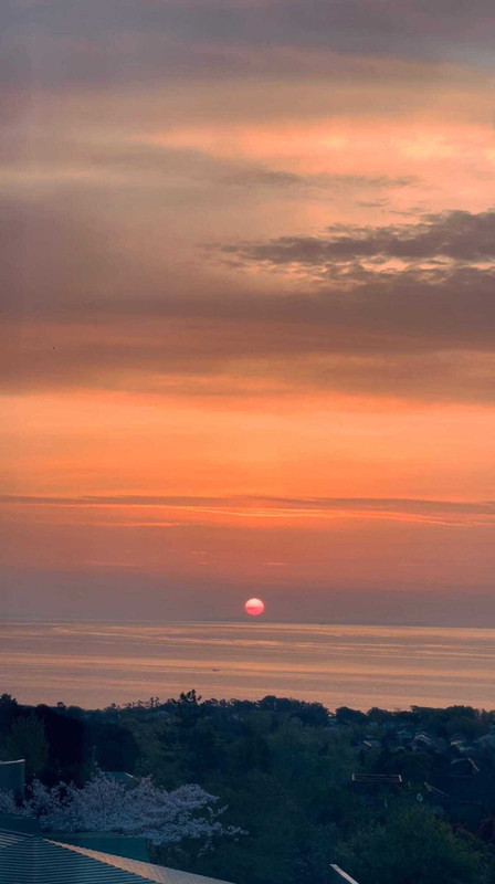 nnacc77さんの写真 / 2