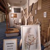 ホテル知床（北海道 リゾートホテル） / 3