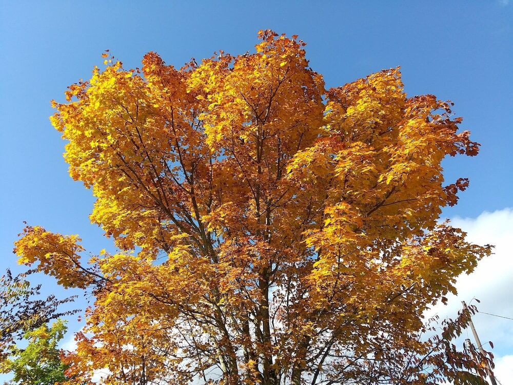 施設からの眺望