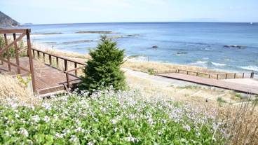 施設からの眺望 / 12