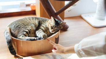 部屋からの景観 / 17