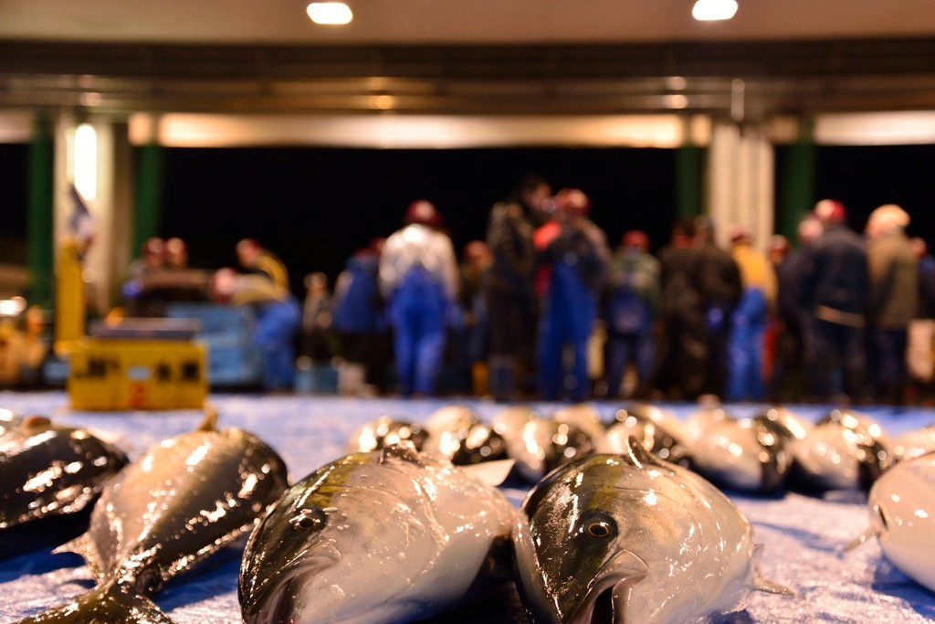 寒くなってきたら、「氷見の寒ブリ」を食べに行こう♪4231616