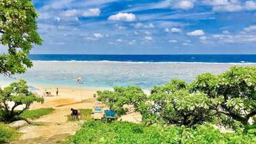 サーフィン / ボディボード / 2