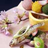 京懐石「螢」 / 2