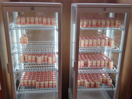 天然温泉 扇浜の湯 ドーミーイン川崎 / 3