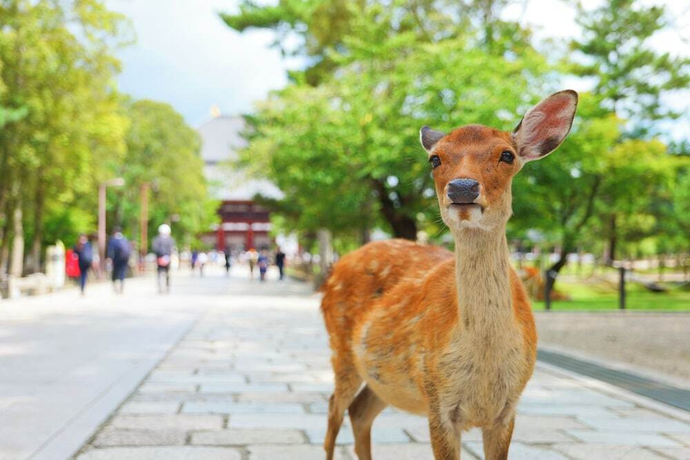 宿泊施設の地図