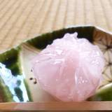 旧近衛邸（キュウコノエテイ）