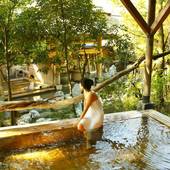 八幡野温泉郷 杜の湯 きらの里（静岡県 旅館） / 3