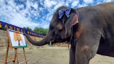 子供向けアクティビティ / 10