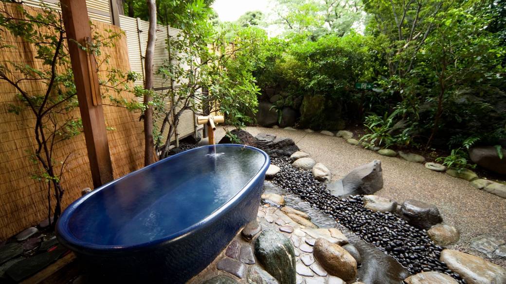 自家源泉かけ流しの
野趣溢れる露天風呂 / 1