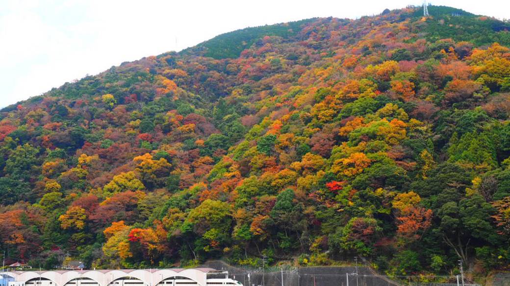 二人ともにっこり
大満足の箱根旅 / 1