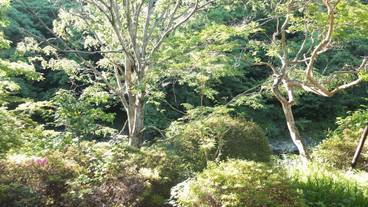 部屋からの景観 / 20