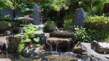 施設からの眺望 / 6