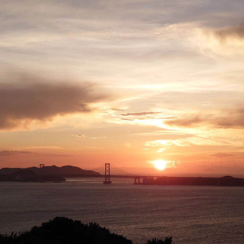 chari_charioさんの写真 / 1