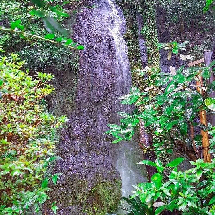 a_yht1oさんの写真 / 5