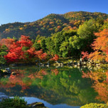 グラデーションの絶景紅葉にうっとり♡紅葉を愛でる嵐山・嵯峨野周辺の宿7選