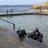 ザ・ジャスミンクリーク（兵庫県 別荘・ヴィラ・コンドミニアム） / 4