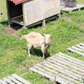 分校Stay Haruhi（佐賀県 グランピング） / 3