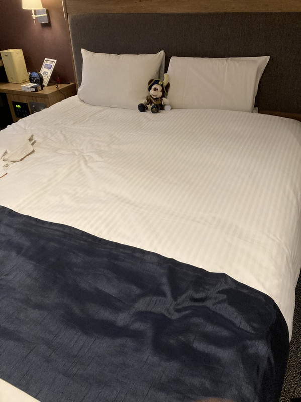 お部屋のクィーンベッド