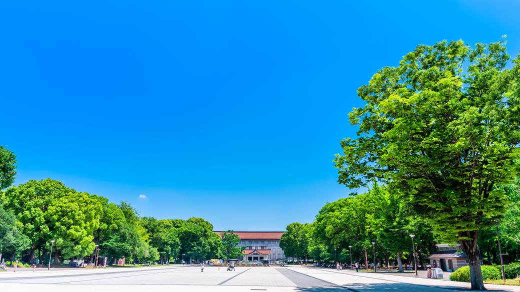 上野恩賜公園　竹の台広場 / 3