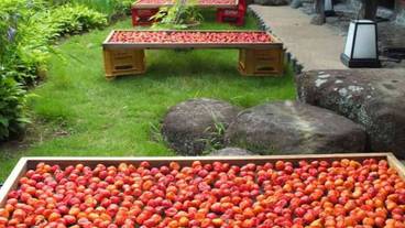 施設内の設備 / 12