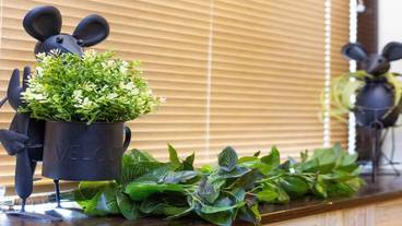 リビング エリア / 27