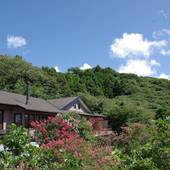 伊豆大島 ホテル＆リゾート マシオ（大島）（東京都 リゾートホテル） / 2