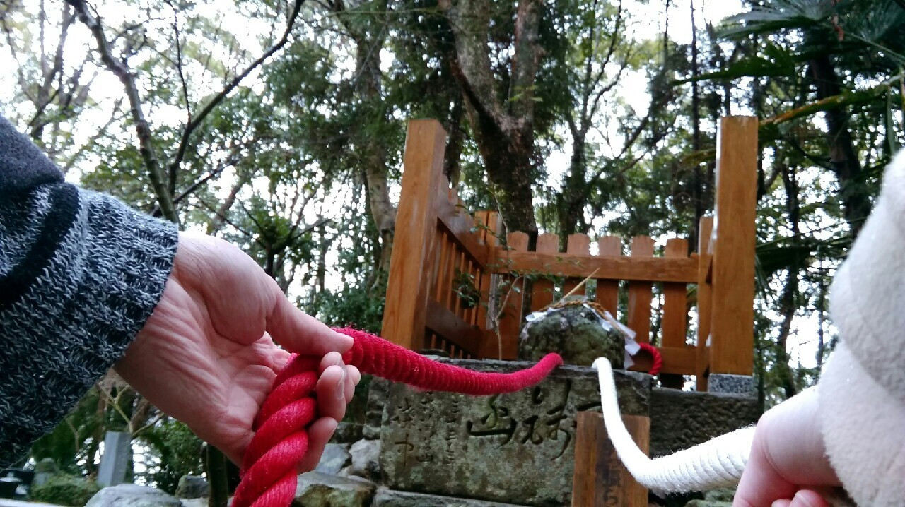 9. 二人の絆を深める「鶺鴒石」3738001