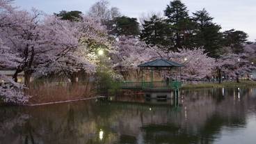 観光スポット / 7