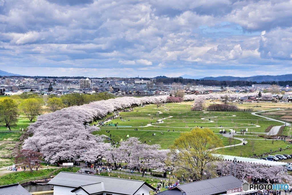 「北上展勝地」でじっくり桜を見ながら散策♪1558083