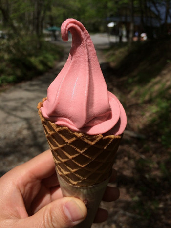 「奥社の茶屋」料理 39037 2015.5下旬、木いちごソフト（370円）